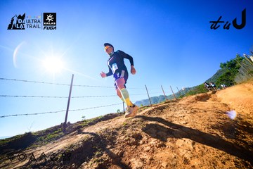 Dalat Ultra Trail 2026 - Ảnh #4912768