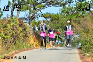 Dalat Ultra Trail 2026 - Ảnh #4749301