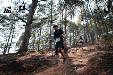 Dalat Ultra Trail 2026 - Ảnh #4739784