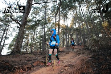 Dalat Ultra Trail 2026 - Ảnh #4740169