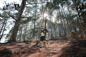 Dalat Ultra Trail 2026 - Ảnh #4739864