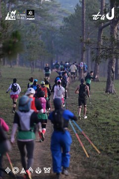 Dalat Ultra Trail 2026 - Ảnh #4731251