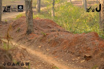 Dalat Ultra Trail 2026 - Ảnh #4841960