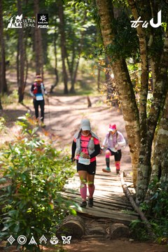 Dalat Ultra Trail 2026 - Ảnh #4908108