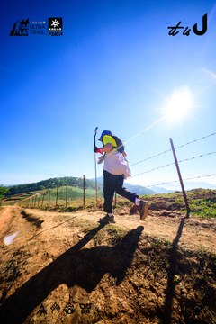 Dalat Ultra Trail 2026 - Ảnh #4912746
