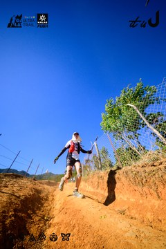Dalat Ultra Trail 2026 - Ảnh #4912690