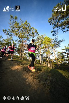 Dalat Ultra Trail 2026 - Ảnh #4910341