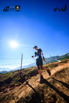 Dalat Ultra Trail 2026 - Ảnh #4912759