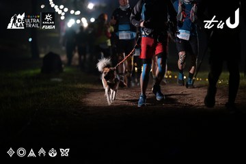 Dalat Ultra Trail 2026 - Ảnh #4716740