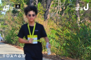 Dalat Ultra Trail 2026 - Ảnh #4780896
