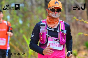 Dalat Ultra Trail 2026 - Ảnh #4793320