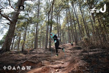 Dalat Ultra Trail 2026 - Ảnh #4739047