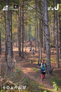 Dalat Ultra Trail 2026 - Ảnh #4913482