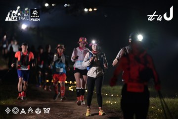 Dalat Ultra Trail 2026 - Ảnh #4708087
