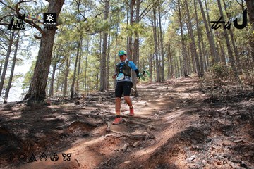 Dalat Ultra Trail 2026 - Ảnh #4738701