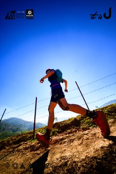 Dalat Ultra Trail 2026 - Ảnh #4912763