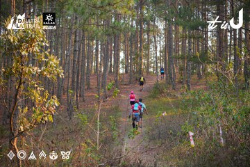 Dalat Ultra Trail 2026 - Ảnh #4913511