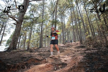 Dalat Ultra Trail 2026 - Ảnh #4739023