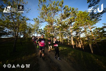 Dalat Ultra Trail 2026 - Ảnh #4910108