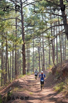 Dalat Ultra Trail 2026 - Ảnh #4913271