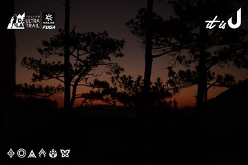 Dalat Ultra Trail 2026 - Ảnh #4729795