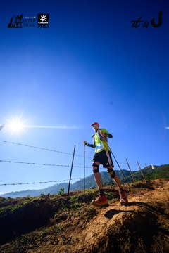 Dalat Ultra Trail 2026 - Ảnh #4912567