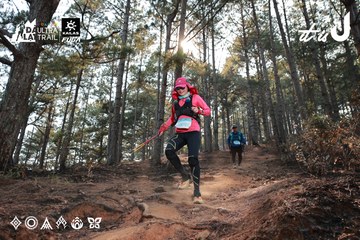 Dalat Ultra Trail 2026 - Ảnh #4739983