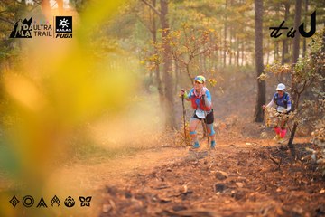 Dalat Ultra Trail 2026 - Ảnh #4913619