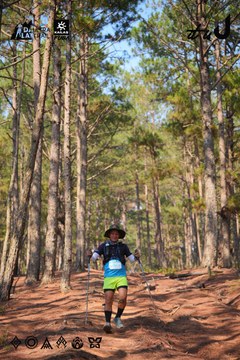 Dalat Ultra Trail 2026 - Ảnh #4913292