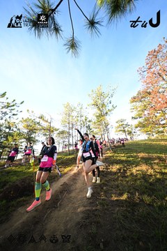 Dalat Ultra Trail 2026 - Ảnh #4910767