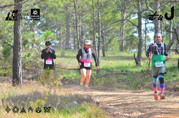 Dalat Ultra Trail 2026 - Ảnh #4749916