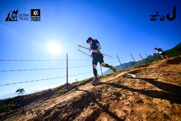 Dalat Ultra Trail 2026 - Ảnh #4912769
