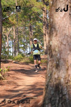 Dalat Ultra Trail 2026 - Ảnh #4913318