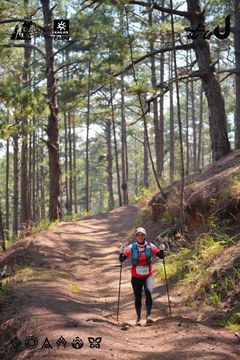 Dalat Ultra Trail 2026 - Ảnh #4913263