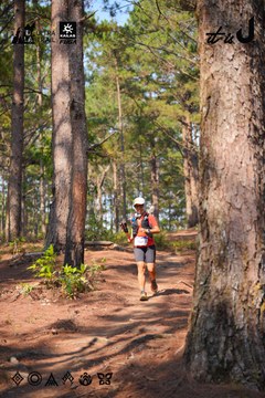 Dalat Ultra Trail 2026 - Ảnh #4913331