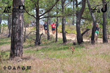 Dalat Ultra Trail 2026 - Ảnh #4831847