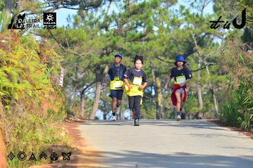Dalat Ultra Trail 2026 - Ảnh #4781062