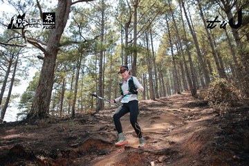 Dalat Ultra Trail 2026 - Ảnh #4738981