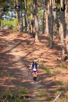 Dalat Ultra Trail 2026 - Ảnh #4913434