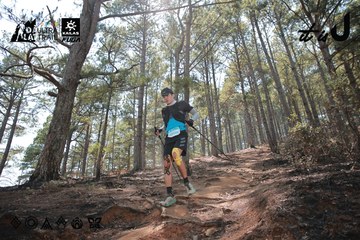 Dalat Ultra Trail 2026 - Ảnh #4739038