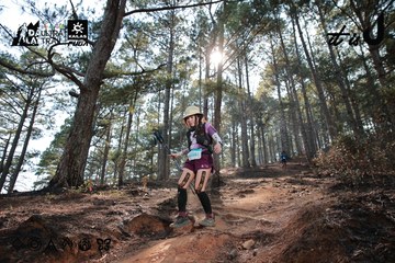 Dalat Ultra Trail 2026 - Ảnh #4739812