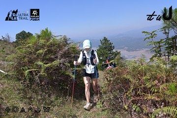 Dalat Ultra Trail 2026 - Ảnh #4732972