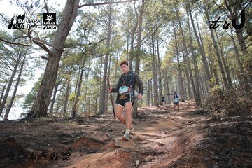 Dalat Ultra Trail 2026 - Ảnh #4739025
