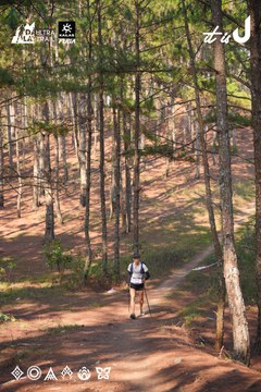 Dalat Ultra Trail 2026 - Ảnh #4913423