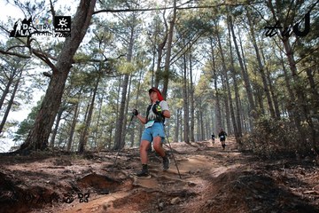 Dalat Ultra Trail 2026 - Ảnh #4739231