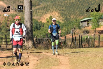 Dalat Ultra Trail 2026 - Ảnh #4715560