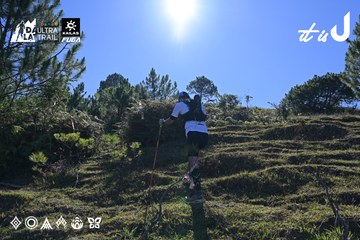 Dalat Ultra Trail 2026 - Ảnh #4731756