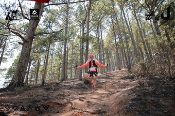 Dalat Ultra Trail 2026 - Ảnh #4738966