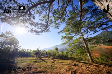 Dalat Ultra Trail 2026 - Ảnh #4912531