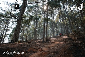 Dalat Ultra Trail 2026 - Ảnh #4739505